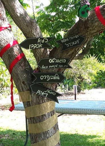 יום הולדת הארי פוטר - שלטים על עץ 